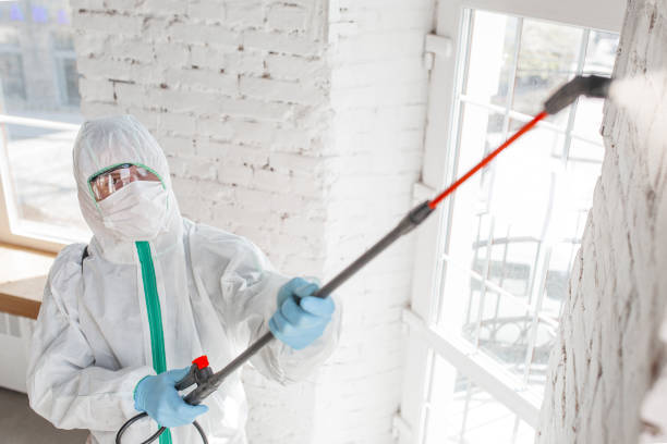 Reliable Dunbar, SC Mold Inspection, Removal & Remediation Solutions